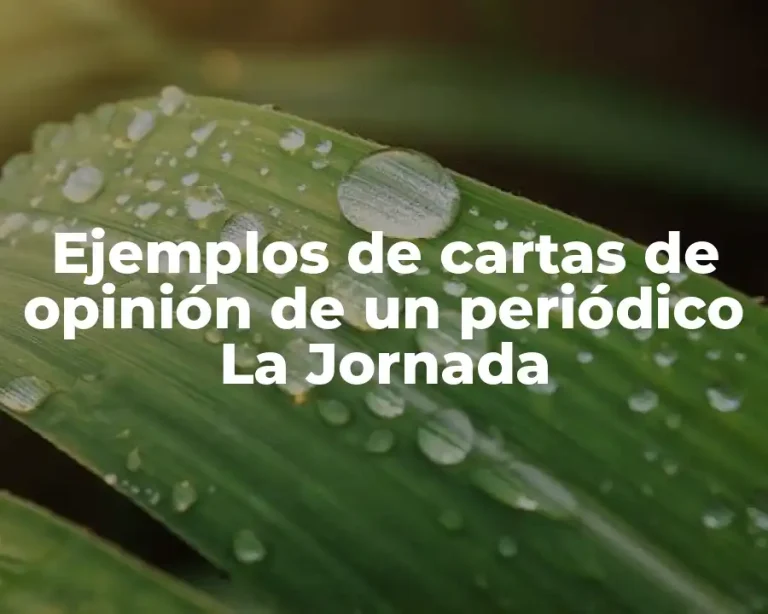 Ejemplos de cartas de opinión de un periódico La Jornada