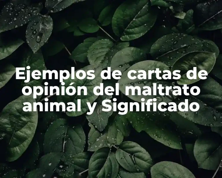 Ejemplos de cartas de opinión del maltrato animal y Significado