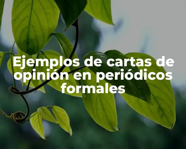 Ejemplos de cartas de opinión en periódicos formales