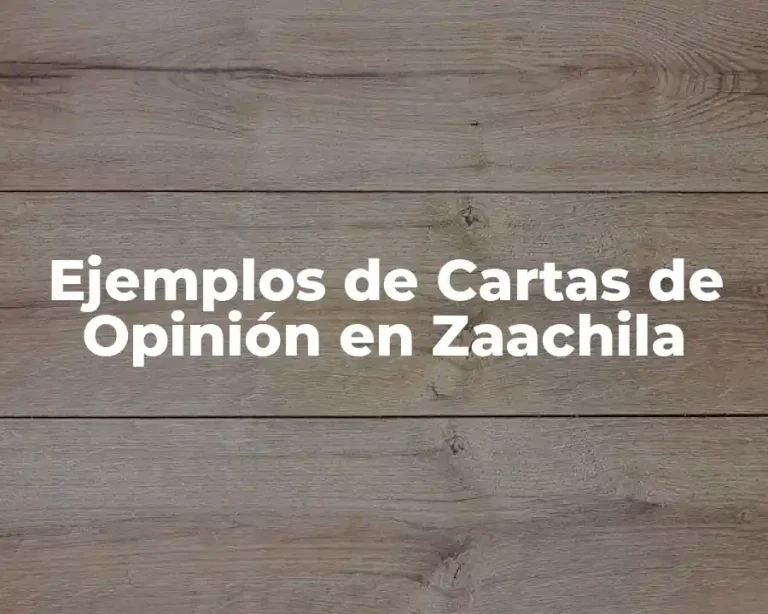 Ejemplos de Cartas de Opinión en Zaachila