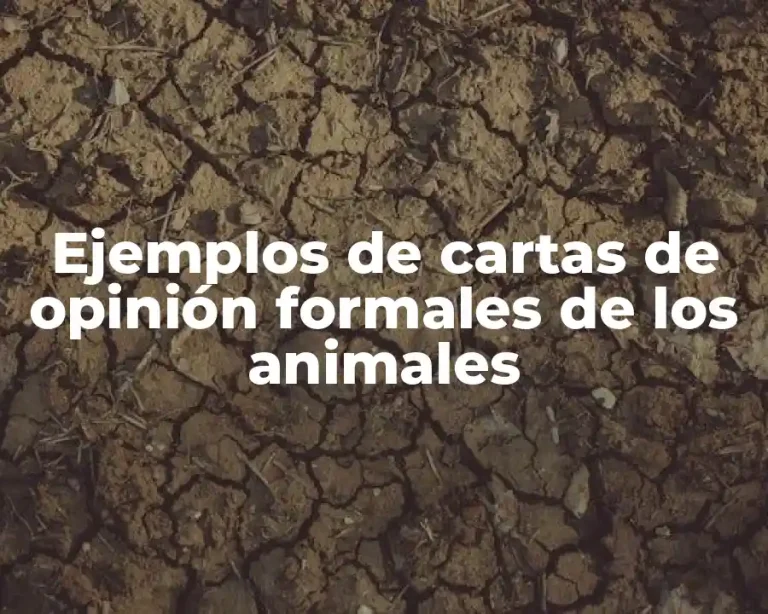 Ejemplos de cartas de opinión formales de los animales