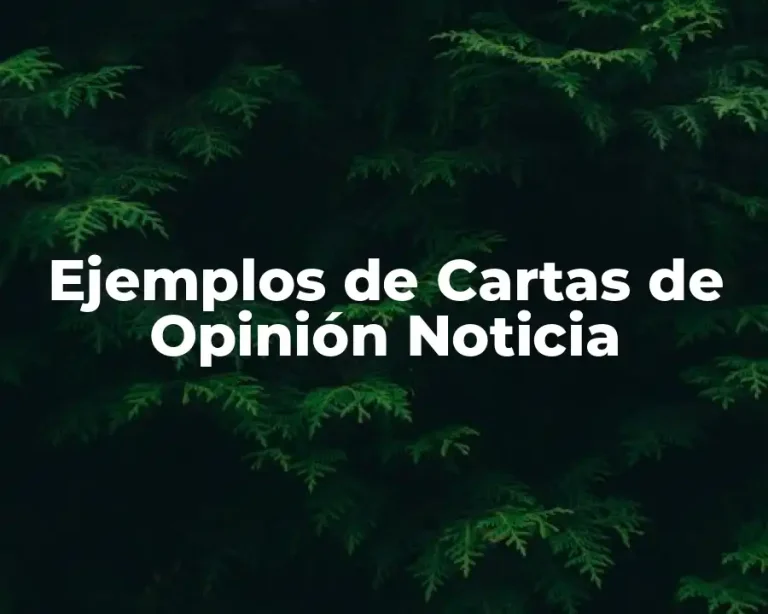 Ejemplos de Cartas de Opinión Noticia