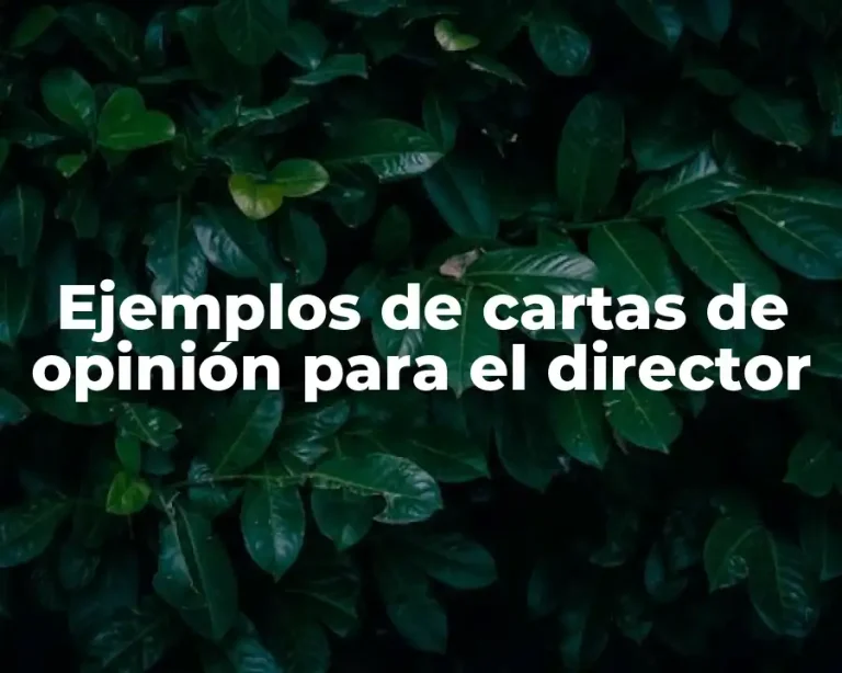 Ejemplos de cartas de opinión para el director