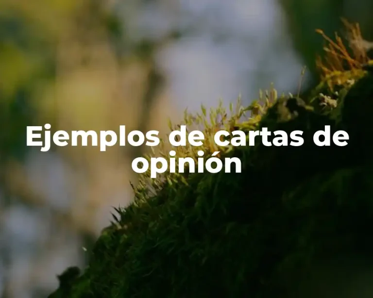 Ejemplos de cartas de opinión