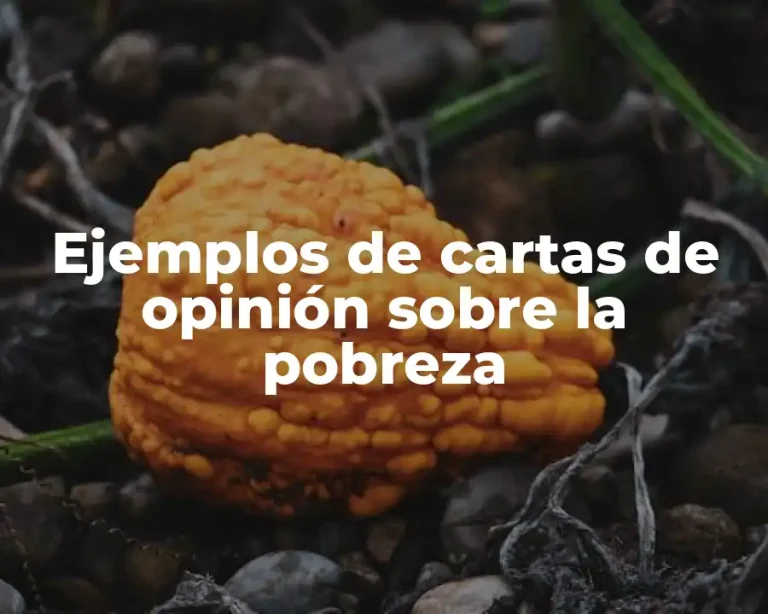 Ejemplos de cartas de opinión sobre la pobreza