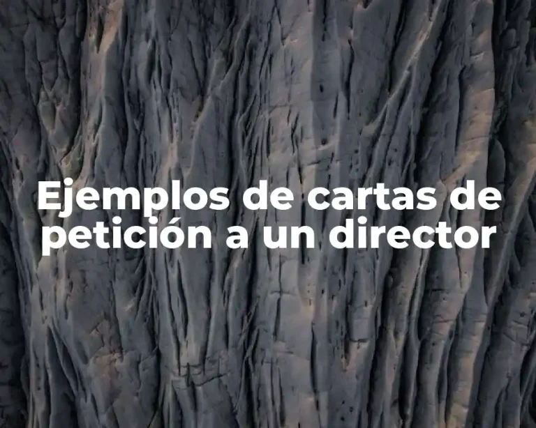 Ejemplos de cartas de petición a un director