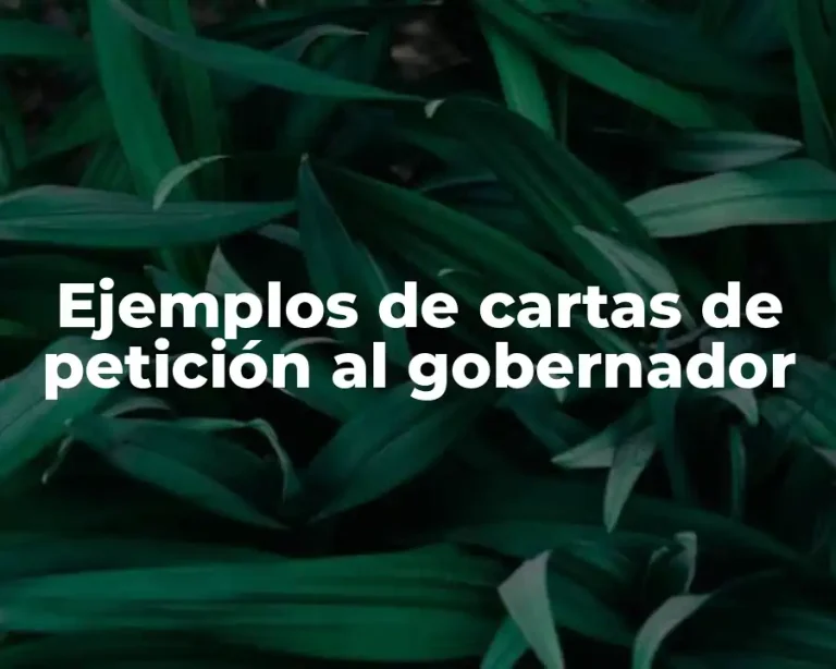 Ejemplos de cartas de petición al gobernador