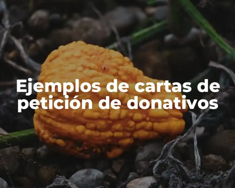 Ejemplos de cartas de petición de donativos