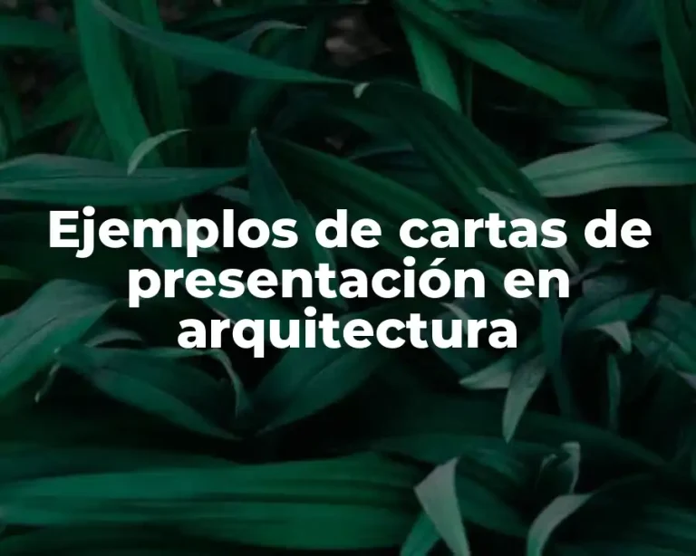 Ejemplos de cartas de presentación en arquitectura