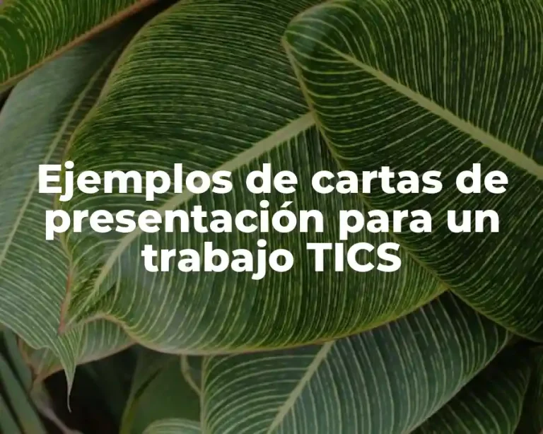 Ejemplos de cartas de presentación para un trabajo TICS