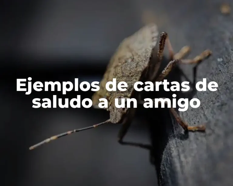 Ejemplos de cartas de saludo a un amigo