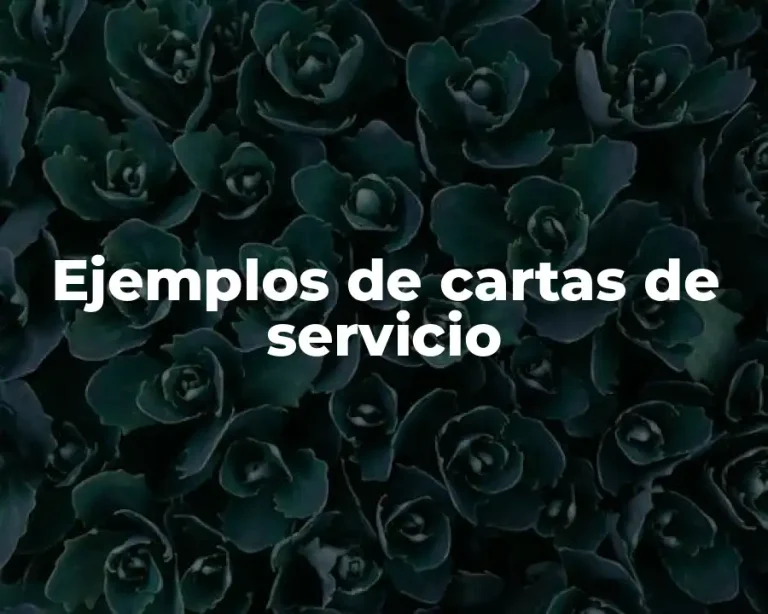 Ejemplos de cartas de servicio