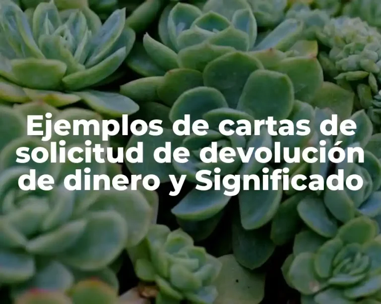 Ejemplos de cartas de solicitud de devolución de dinero y Significado