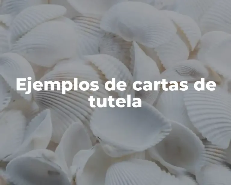 Ejemplos de cartas de tutela