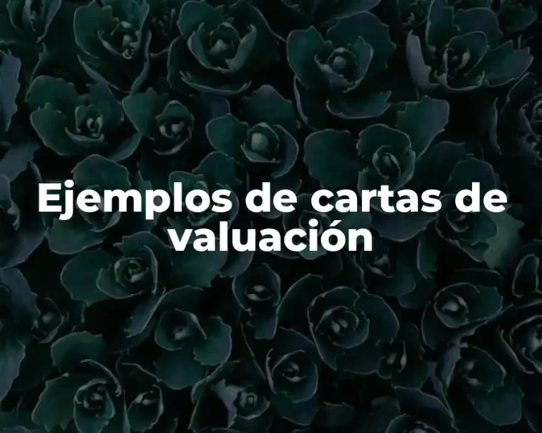 Ejemplos de cartas de valuación