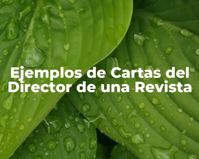 Ejemplos de Cartas del Director de una Revista