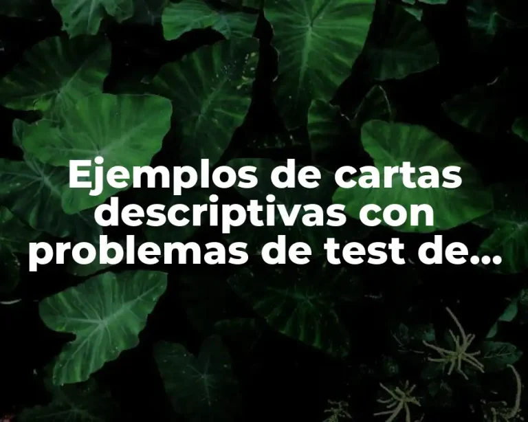Ejemplos de cartas descriptivas con problemas de test de personalidad y Significado