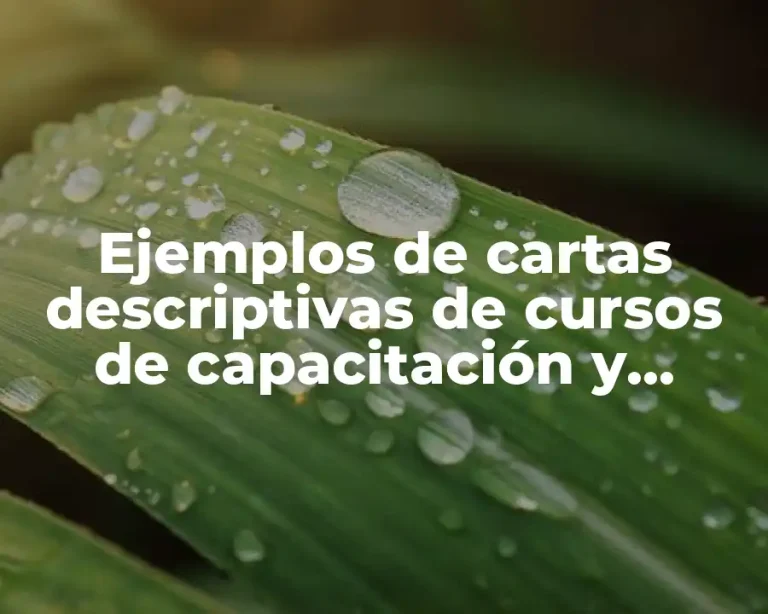 Ejemplos de cartas descriptivas de cursos de capacitación y Significado