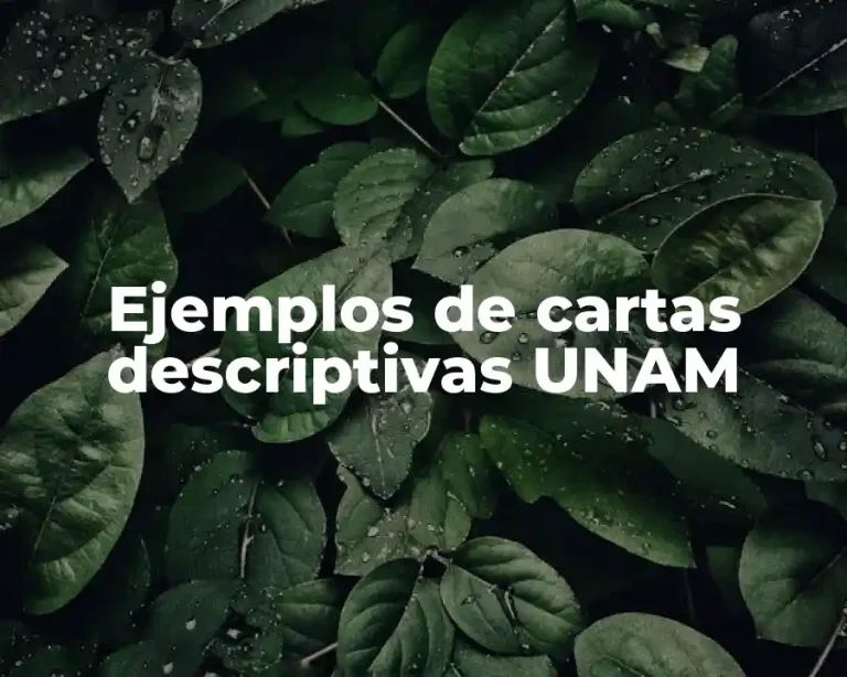 Ejemplos de cartas descriptivas UNAM