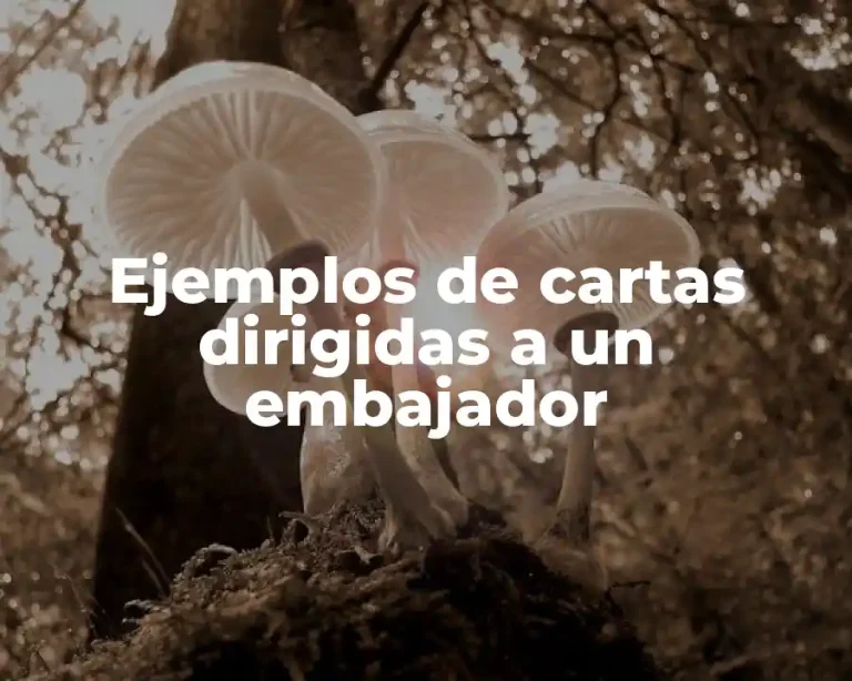 Ejemplos de cartas dirigidas a un embajador