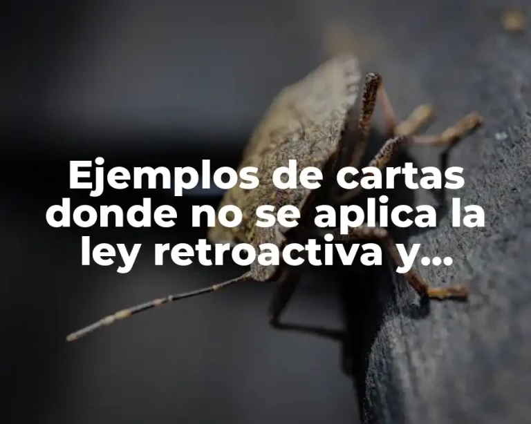 Ejemplos de cartas donde no se aplica la ley retroactiva y Significado