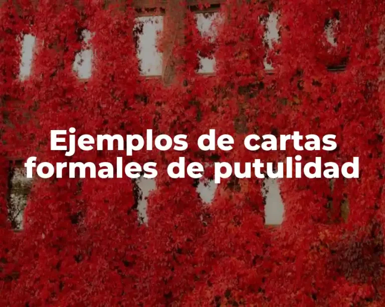 Ejemplos de cartas formales de putulidad