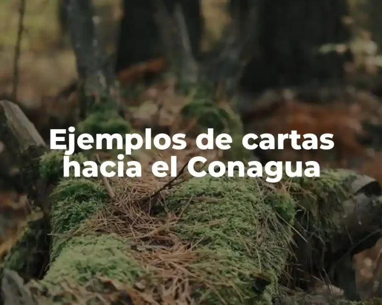 Ejemplos de cartas hacia el Conagua