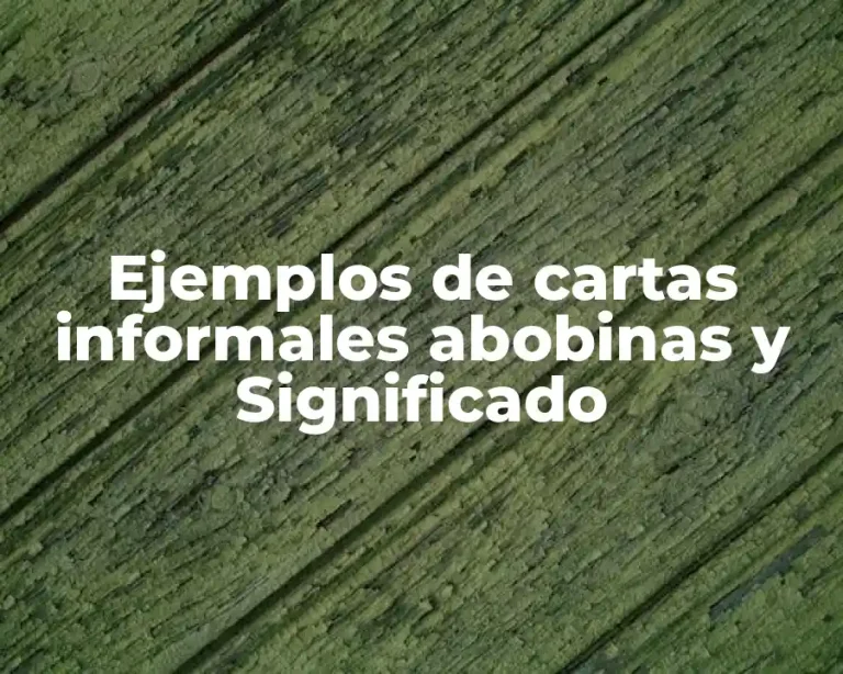 Ejemplos de cartas informales abobinas y Significado