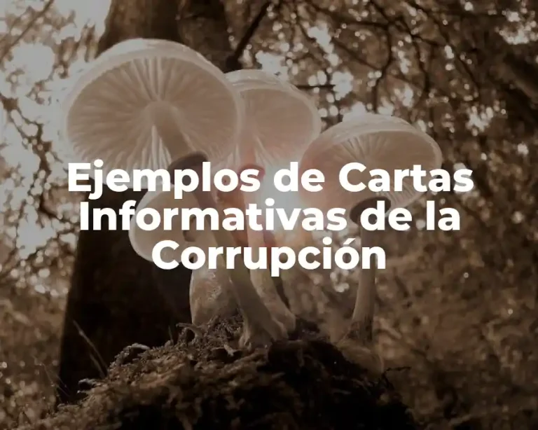 Ejemplos de Cartas Informativas de la Corrupción