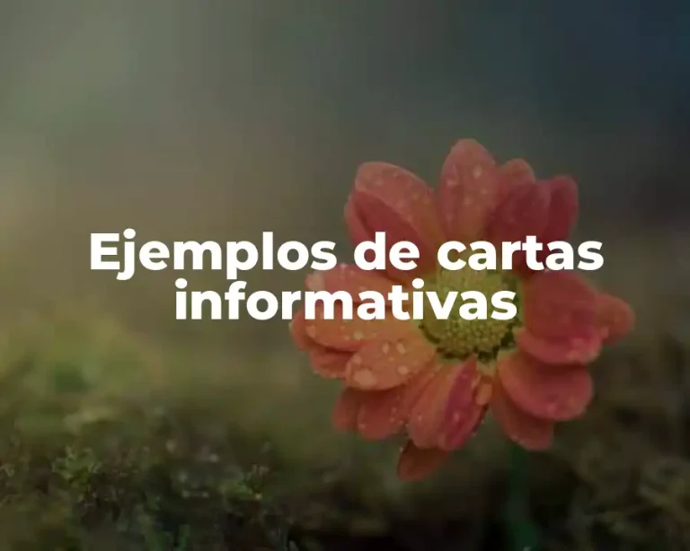 Ejemplos de cartas informativas