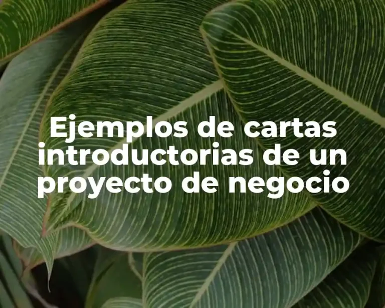 Ejemplos de cartas introductorias de un proyecto de negocio