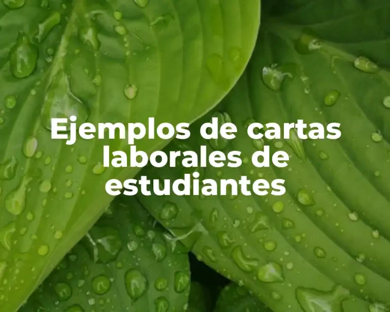 Ejemplos de cartas laborales de estudiantes