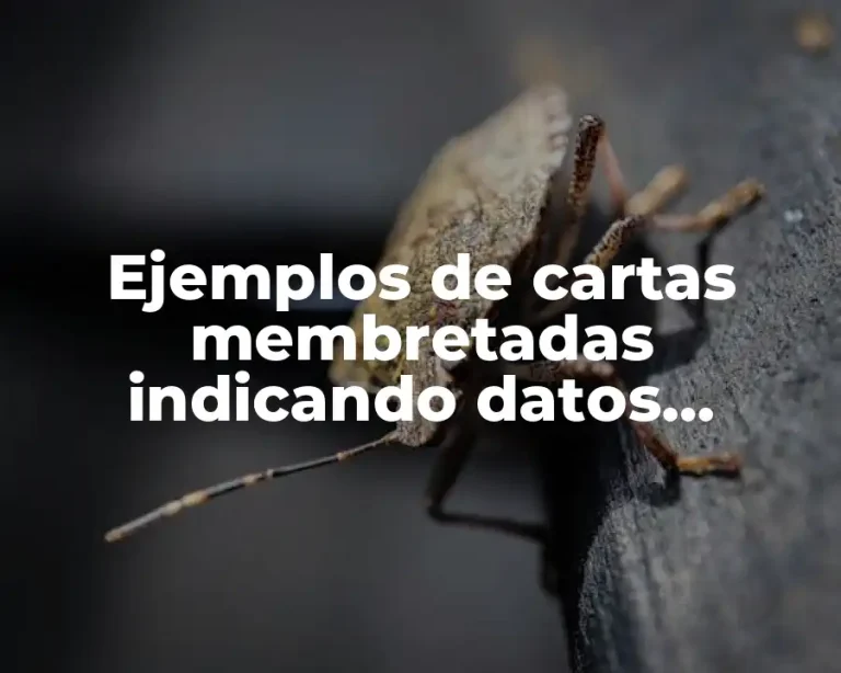 Ejemplos de cartas membretadas indicando datos bancarios