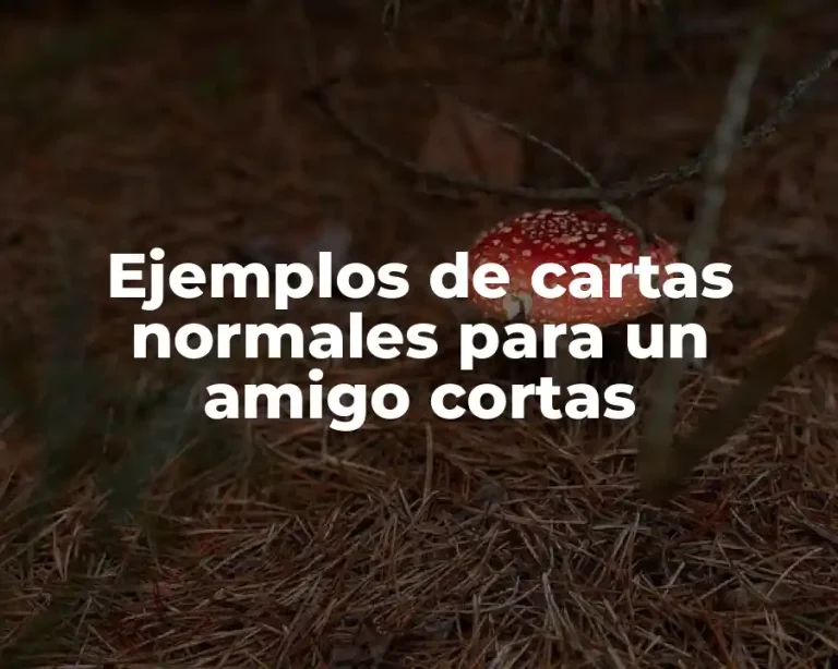 Ejemplos de cartas normales para un amigo cortas