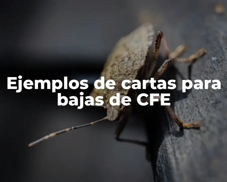Ejemplos de cartas para bajas de CFE