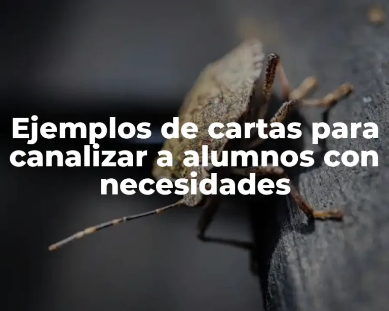 Ejemplos de cartas para canalizar a alumnos con necesidades