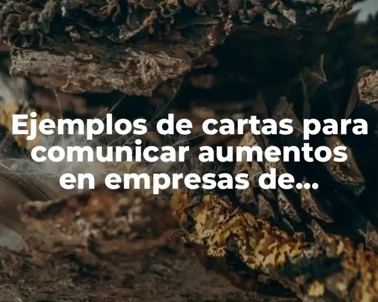 Ejemplos de cartas para comunicar aumentos en empresas de seguridad