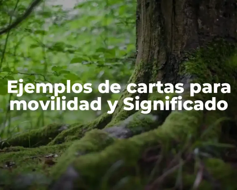 Ejemplos de cartas para movilidad y Significado