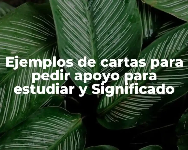 Ejemplos de cartas para pedir apoyo para estudiar y Significado