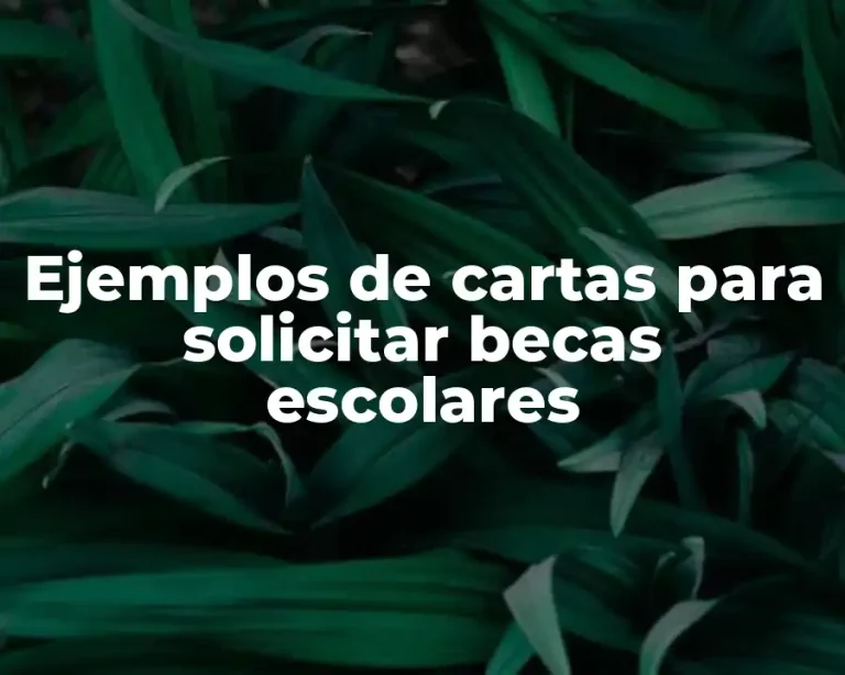 Ejemplos de cartas para solicitar becas escolares