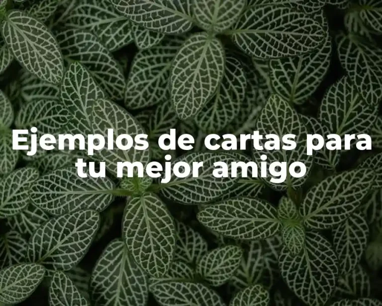 Ejemplos de cartas para tu mejor amigo