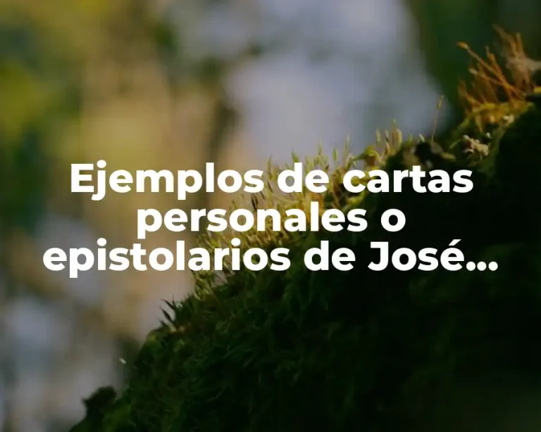 Ejemplos de cartas personales o epistolarios de José Martí