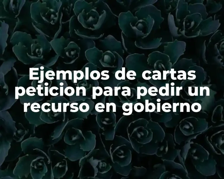 Ejemplos de cartas peticion para pedir un recurso en gobierno