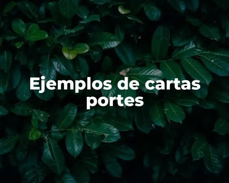 Ejemplos de cartas portes