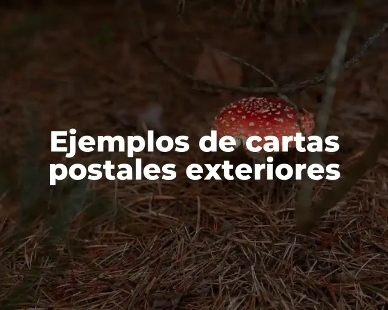 Ejemplos de cartas postales exteriores