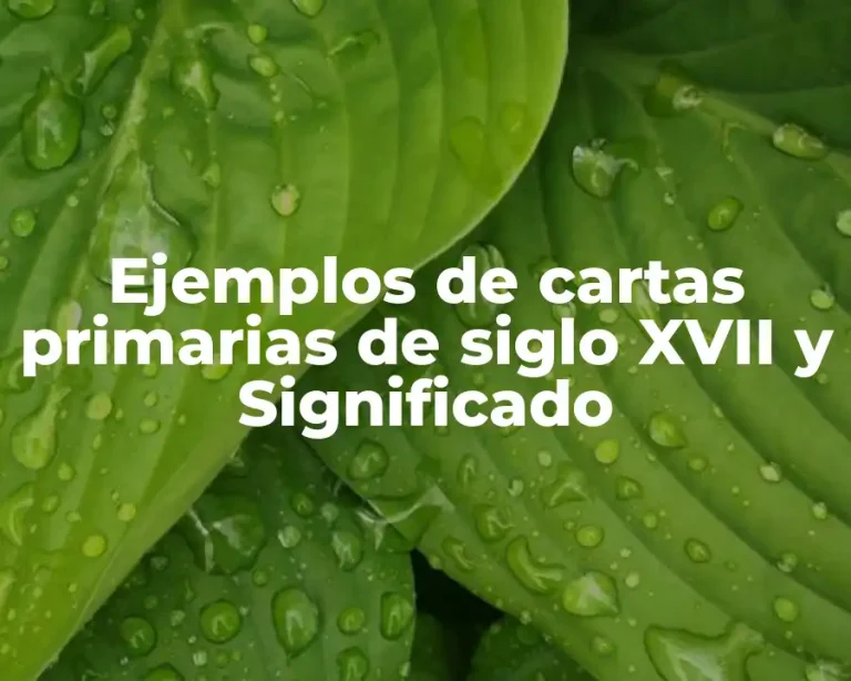 Ejemplos de cartas primarias de siglo XVII y Significado