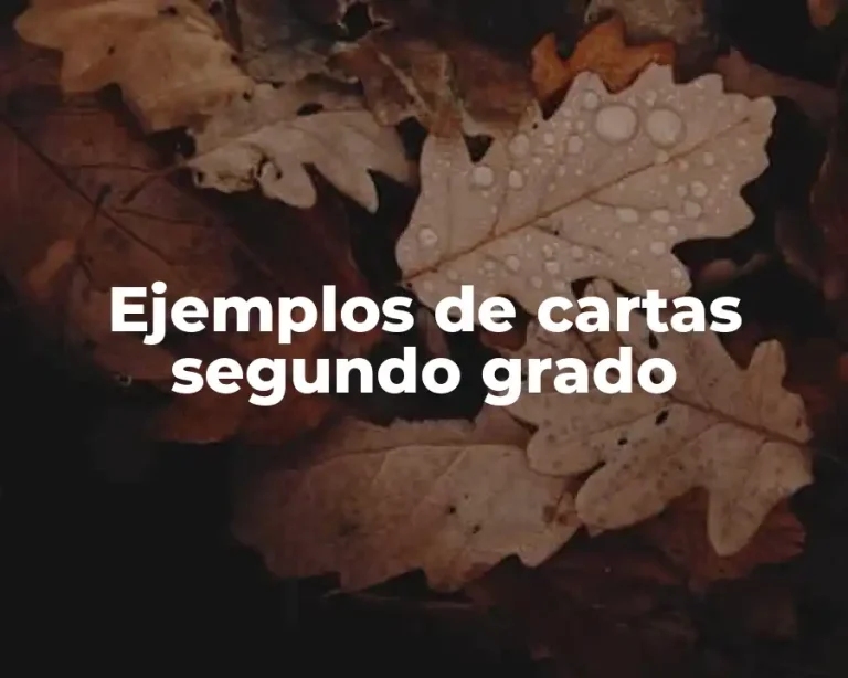 Ejemplos de cartas segundo grado