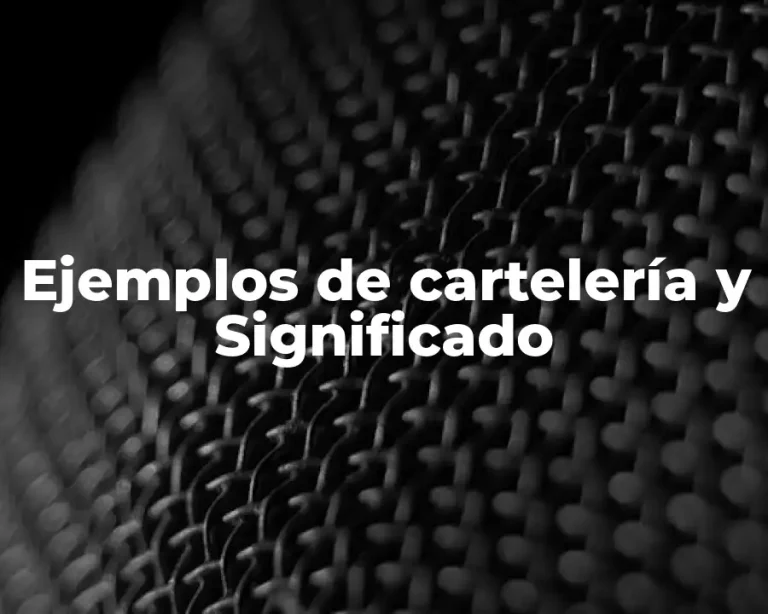 Ejemplos de cartelería y Significado