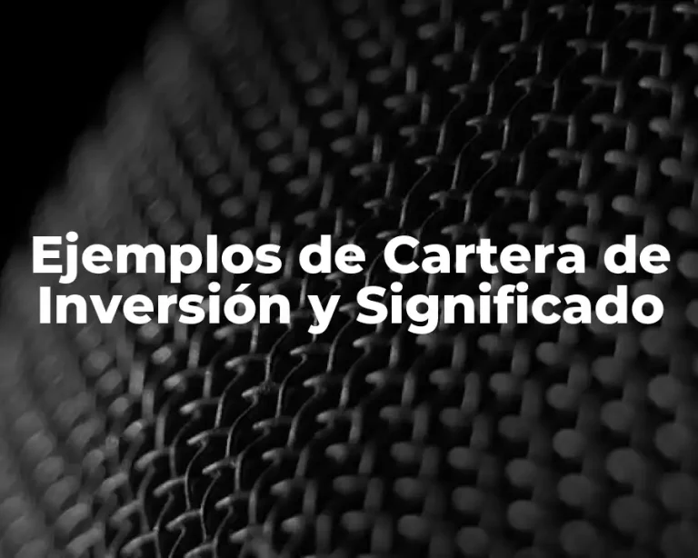 Ejemplos de Cartera de Inversión y Significado