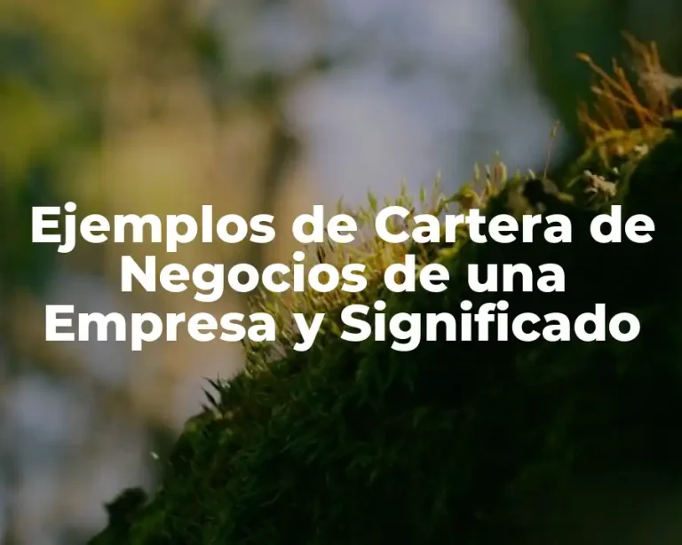 Ejemplos de Cartera de Negocios de una Empresa y Significado